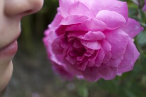 中年女性の口のにおいの改善に必要な原因とは？