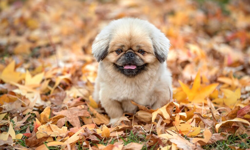 アラフォーの方が気をつけるべき息が臭い対策に効果的な食事は？