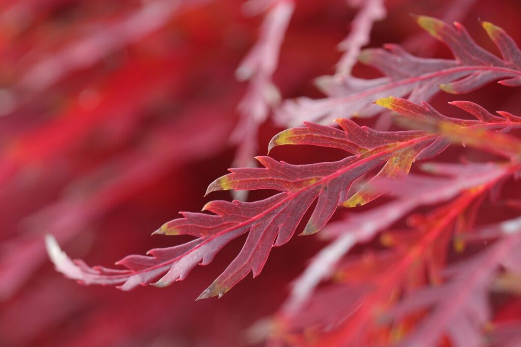 40代女性の口臭とドライマウスの関係は？