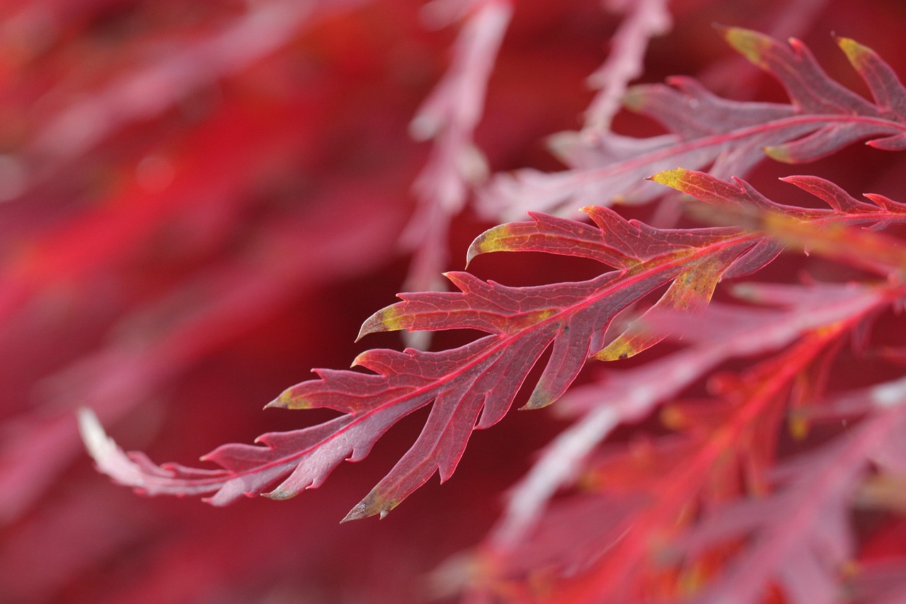 40代女性の口臭とドライマウスの関係は？