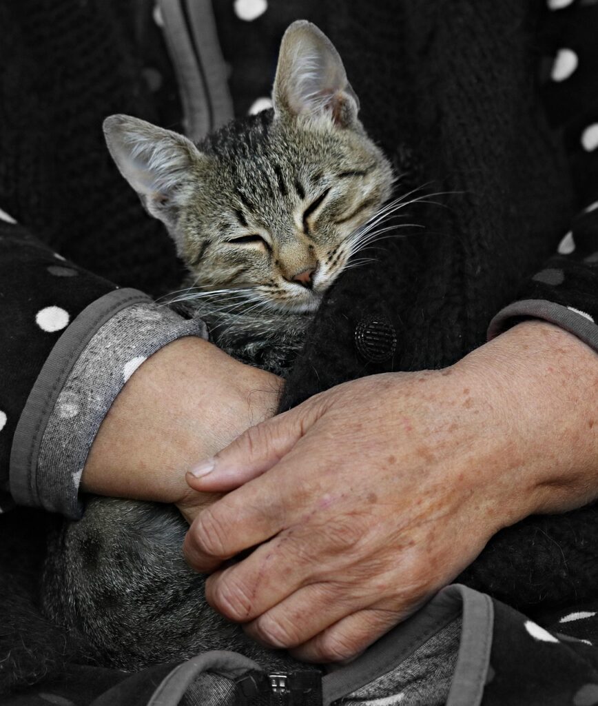 40代女性が実践すべき口臭対策に効果的な食事は？