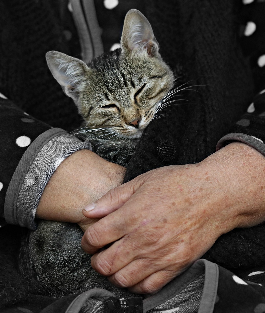 40代女性が実践すべき口臭対策に効果的な食事は？